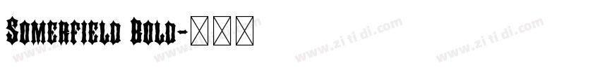 Somerfield Bold字体转换